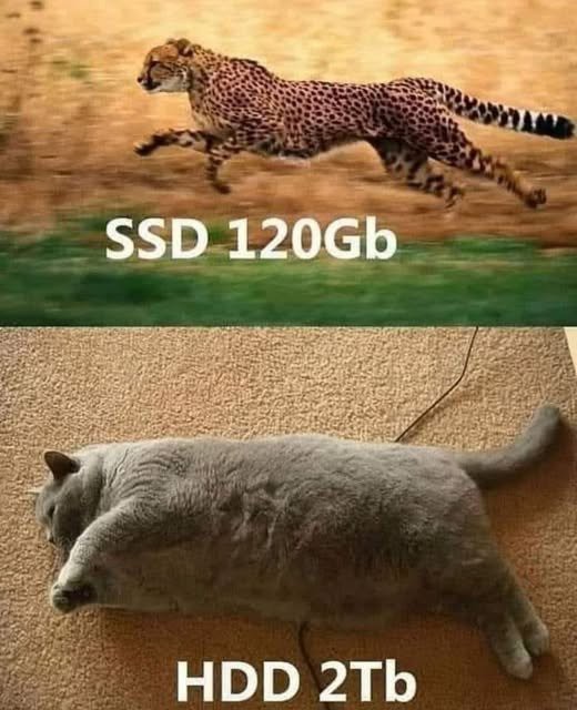 17473550540608.jpg