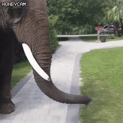 17473923983092.jpg
