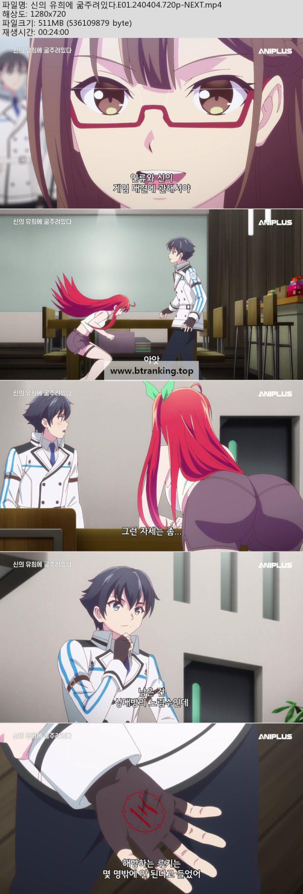 17496060538444.jpg