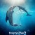 돌핀 테일 2 Dolphin Tale 2 (2014) [1080p] [BluRay] [YTS.MX]