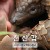 천산갑 쿨루의 여정 Pangolin Kulu's Journey, 2025.1080p.KORSUB.WEBRip.H264.AAC