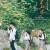 홈 home,2018.1080p.WEBRip.H264.AAC