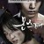 몬스터 Monster, 2014.720p.WEBRip.H264.AAC