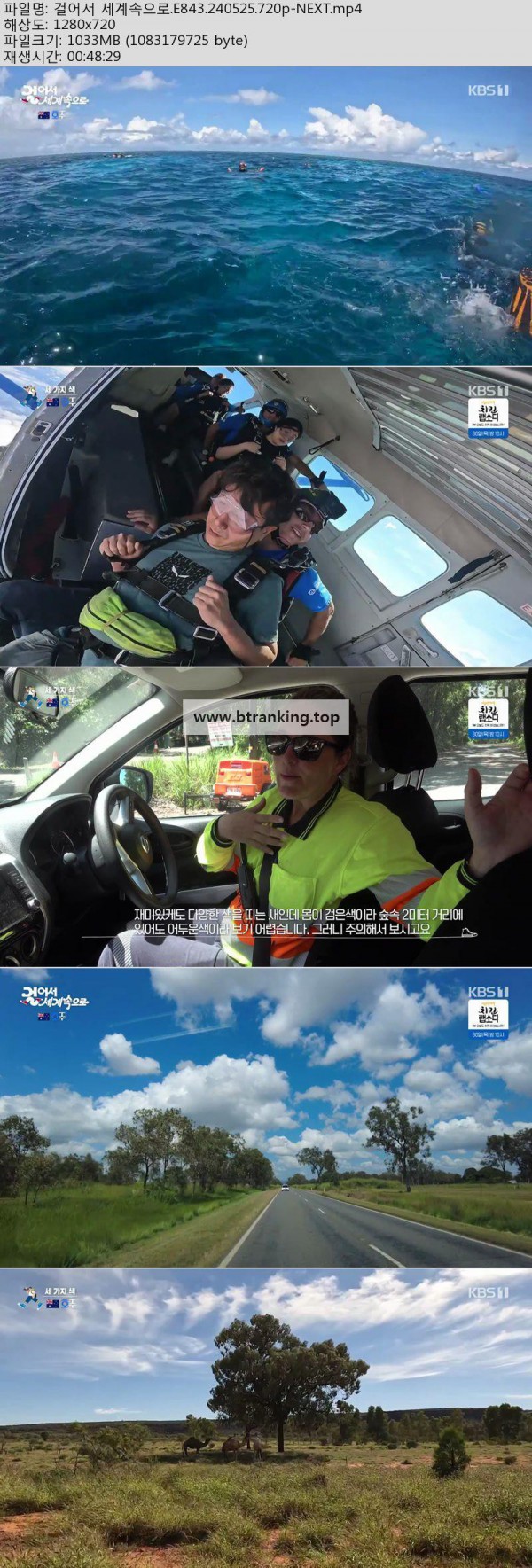 17489095906642.jpg