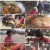 팔도밥상.E313.230429.720p.WANNA