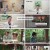 다큐초이스.E21.230819.1080p.H264-F1RST.
