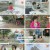 알약방.E224.241010.1080p.H264-F1RST