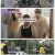 일꾼의 탄생 시즌2.E04.250702.1080p-F1RST