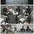 그것이 알고 싶다.E1452.250719.1080p-F1RST