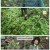 2TV 생생정보.E2342.250724.720p-F1RST