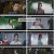 난심.E07.240807.1080p.H264-F1RST