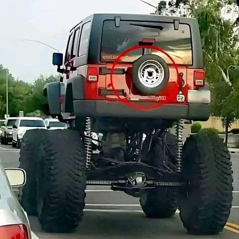 17473557764574.jpg