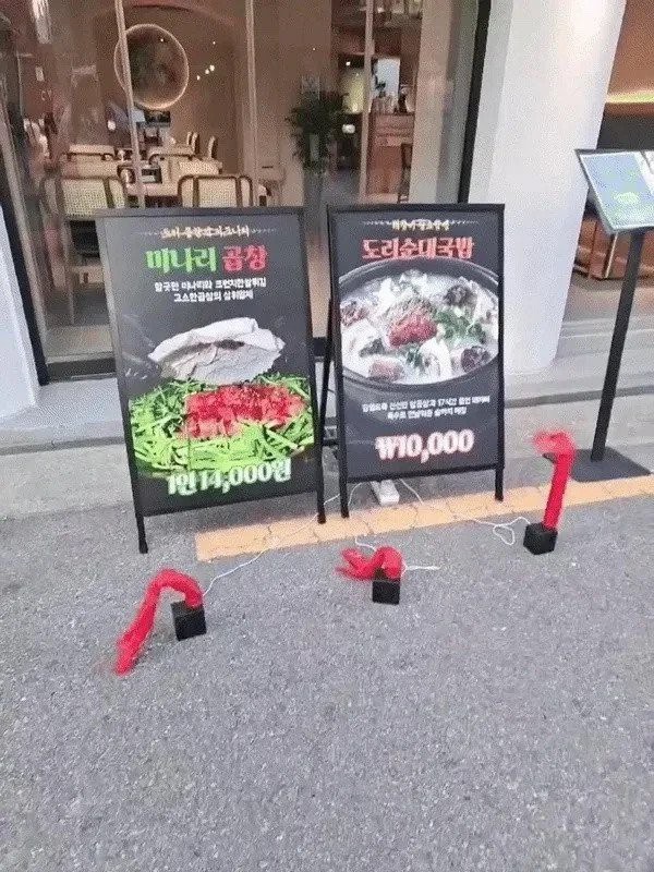 17473581963491.jpg