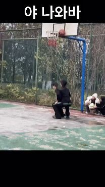 17473592936067.jpg