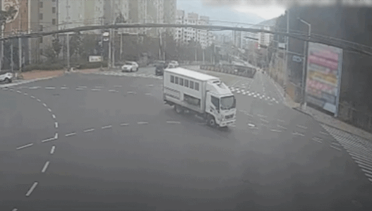17473607561179.gif