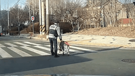 1747360756682.gif