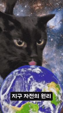 17473648957837.jpg