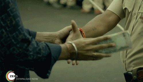 17530433471344.jpg