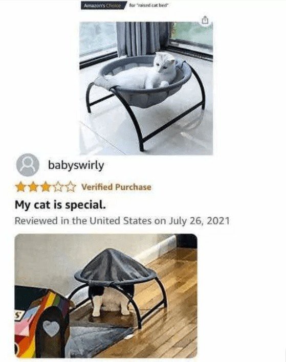17533615441505.jpg
