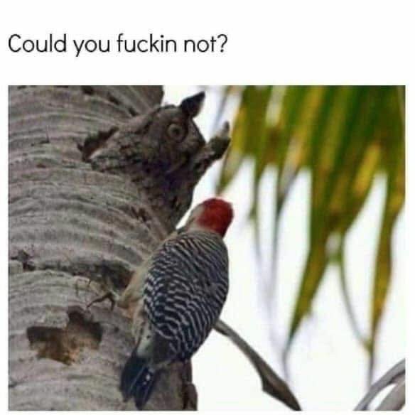 17533616393206.jpg