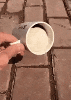 17533617150356.gif