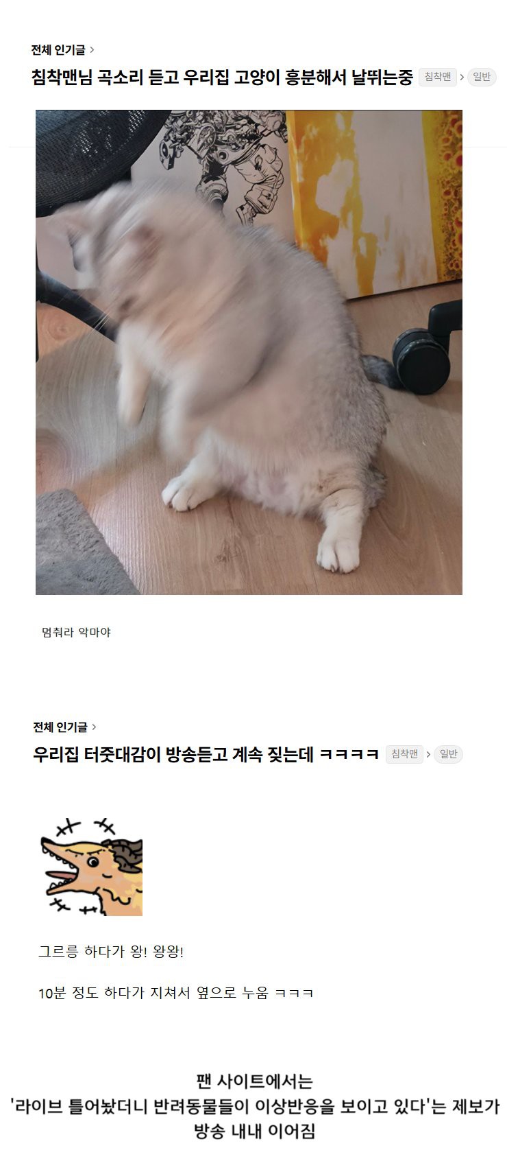 17533617860973.png
