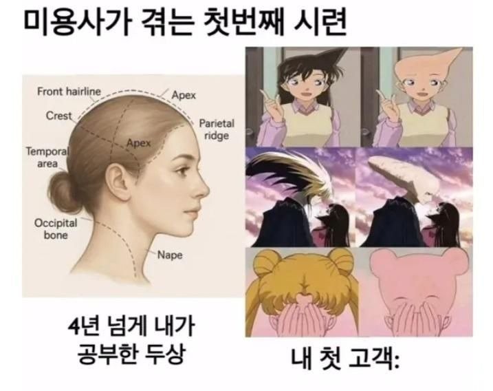 17533617882999.jpg