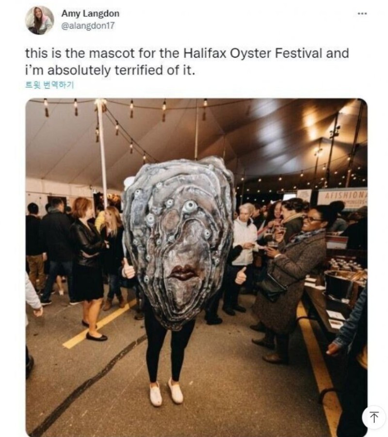 17533618495835.jpg