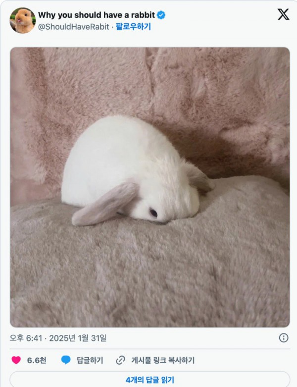 17473543594072.png