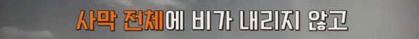 17473580026159.jpg
