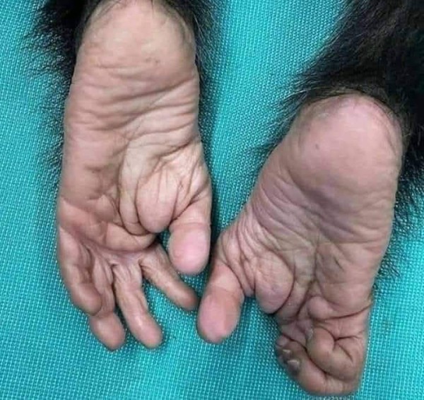 17473585138011.jpg