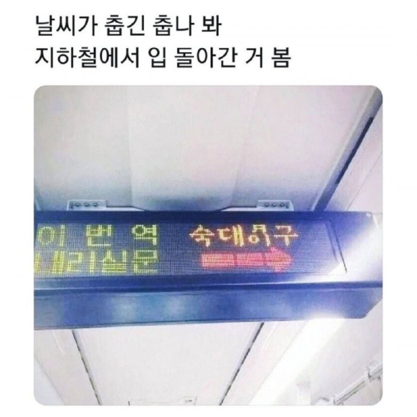 17473585211885.jpg