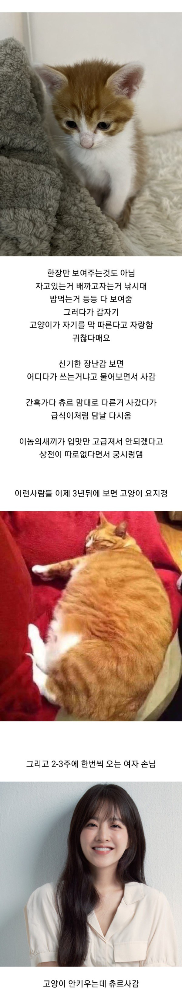 17473603151838.jpg