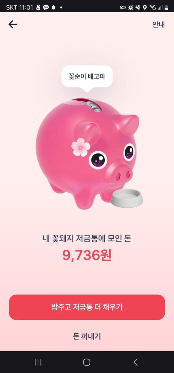1747361415285.jpg