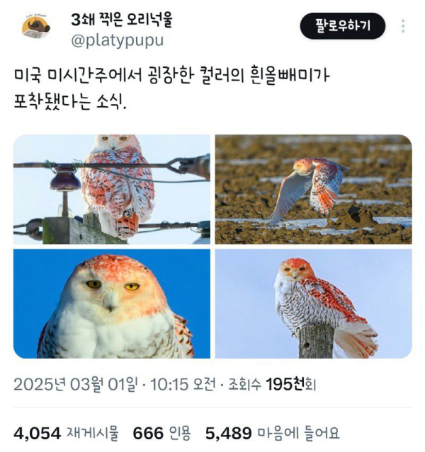 1747362879932.jpg