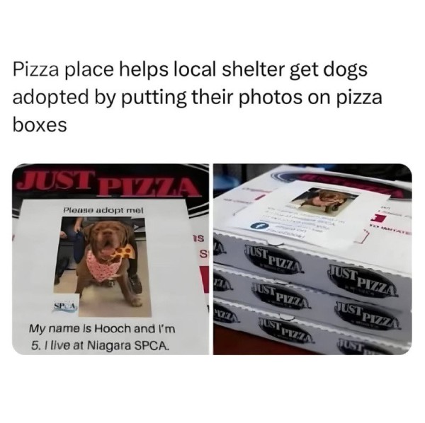 17473642981299.jpg