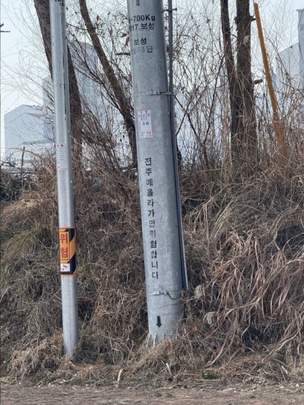 17473646538734.jpg