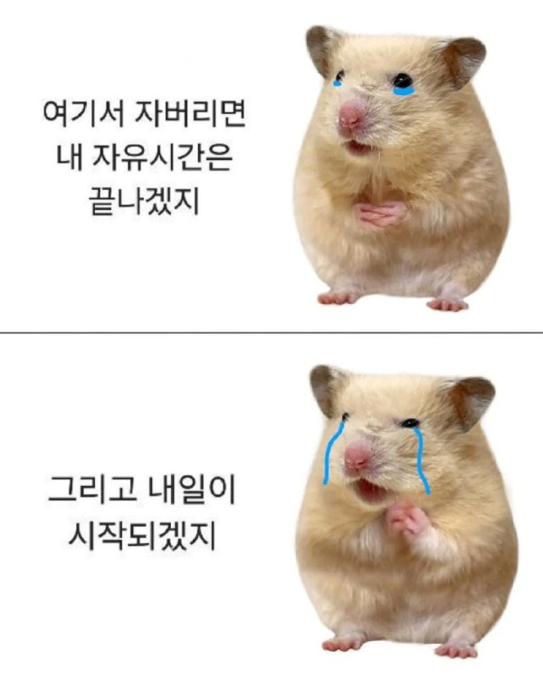 17473648916809.png