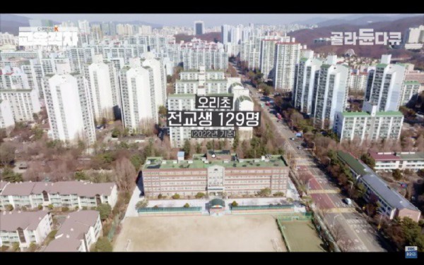 17473651643636.jpg