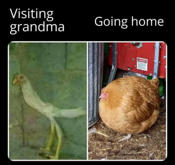 17473655451999.jpg
