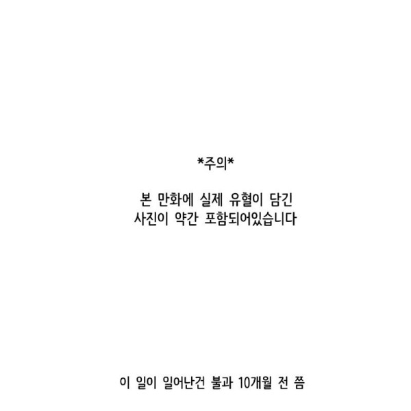 17473920521936.jpg