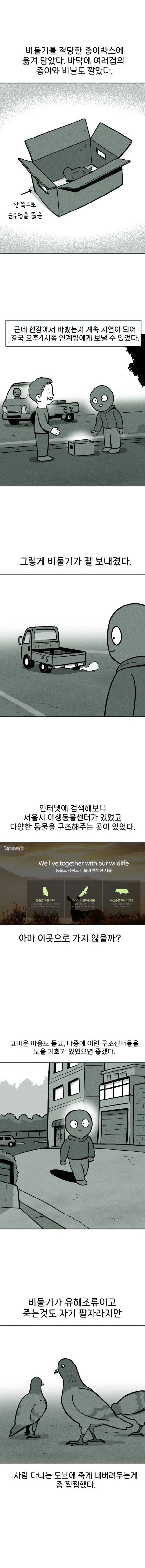 17473929794189.jpg