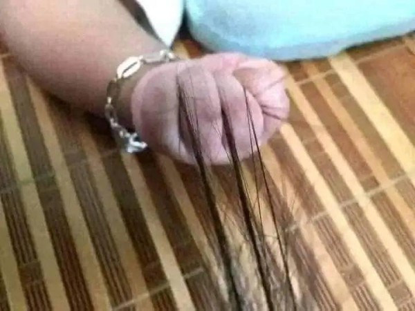 17473939391448.jpg