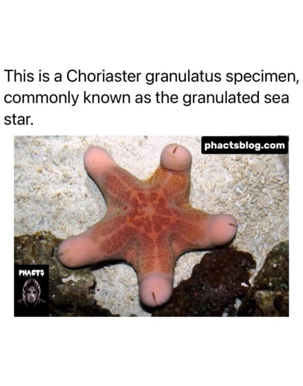 17484927795504.jpg