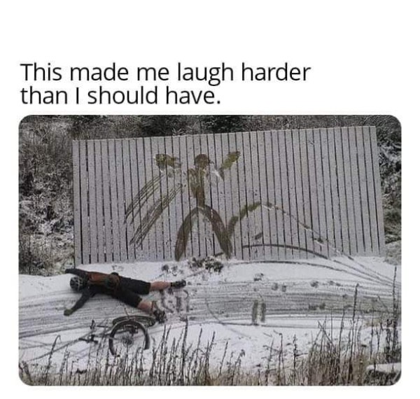 17485276613555.jpg