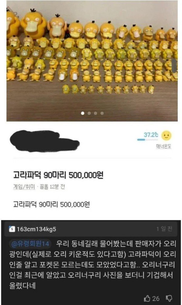 17485276871677.jpg