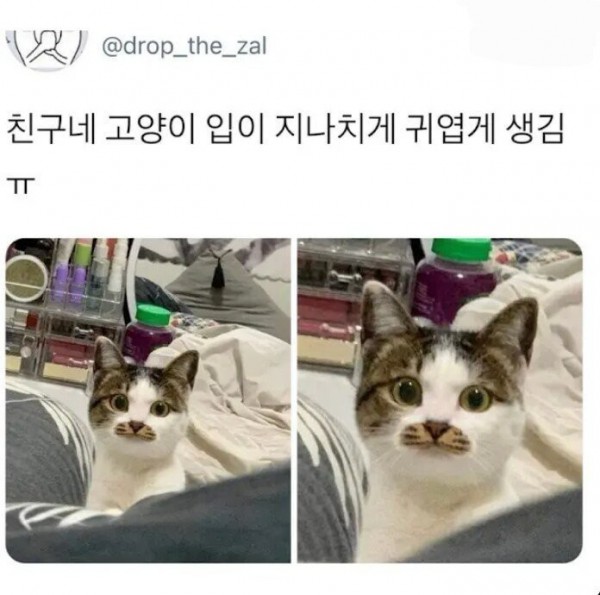 17496309767566.jpg