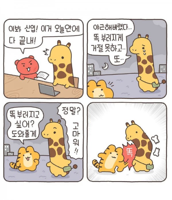 17497601313338.jpg