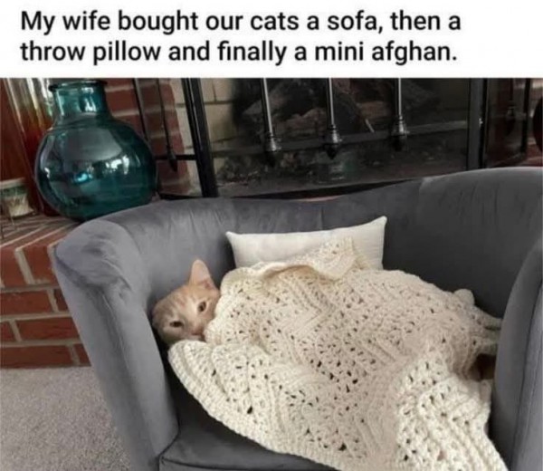 17500890375041.jpg