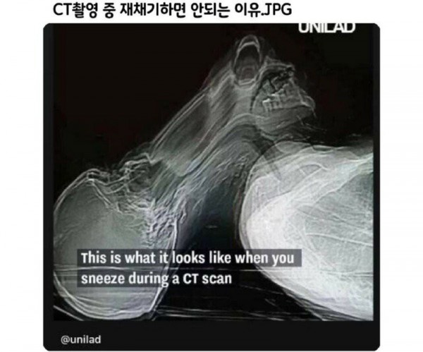 17502618127121.jpg